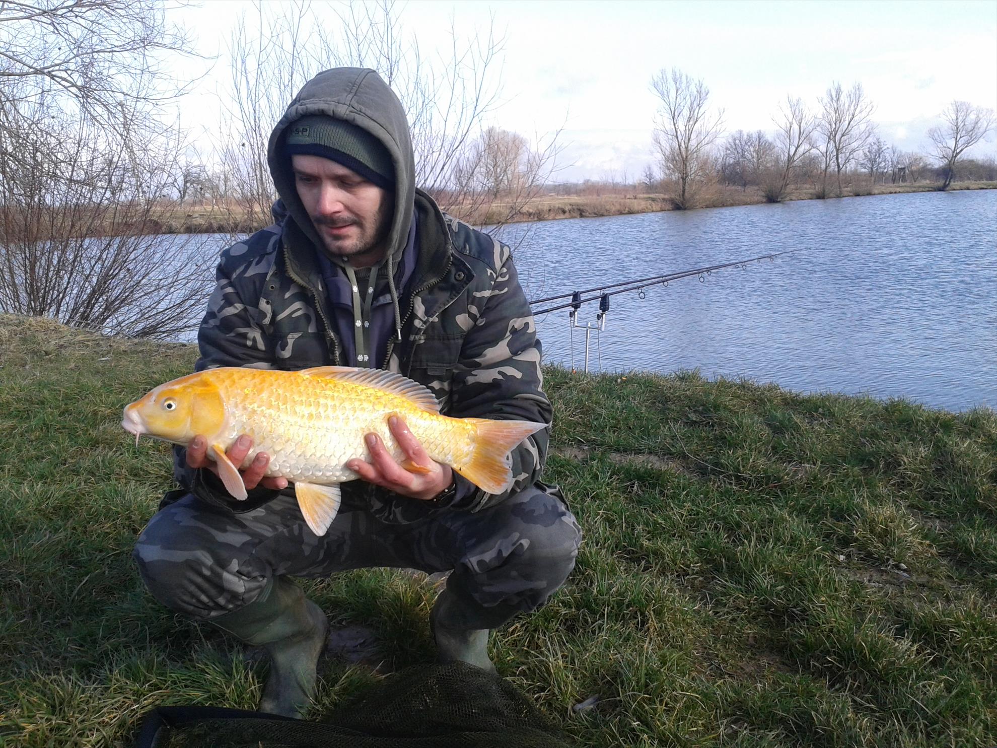 2014-2015 album 3 - prima captura 2015